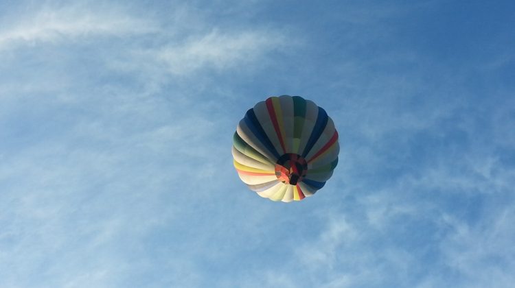 Apresento a vocês a Editora E-Liber