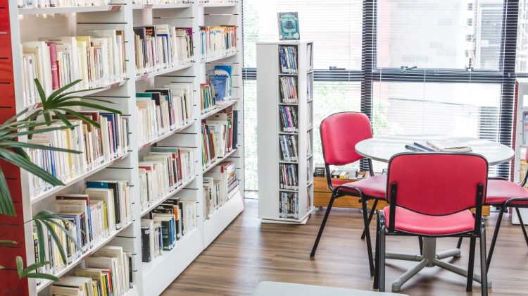 Aliança Francesa oferece premiação para artistas que moram no Rio Grande do Sul; saiba como participar